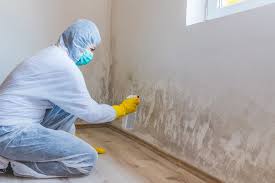 Best Emergency Mold Remediation  in Homeacre Lyndora, PA